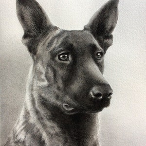 Custom Pet Portrait