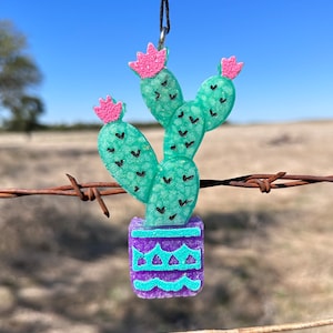 Freshie Cactus Cardstock Cutouts 5.5 x 3 inches for Freshies Random Design  Mix 12 pk For Scented Aroma Beads Bake with Mold for Car Freshie Designs,  Cactus, Western, Desert, Southwestern 