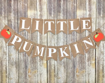 Little Pumpkin Banner, Fall Birthday, Fall Baby Shower, Little Pumpkin Baby Shower, Pumpkin Birthday, Photo Prop