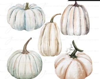 White Pumpkins Watercolor Clipart- Autumn Pumpkin Floral PNG Download File