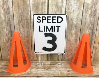 Age Speed Limit Sign, Race Cars Party, Cars Birthday, Speed Limit Sign, Age Table Sign, Construction Birthday