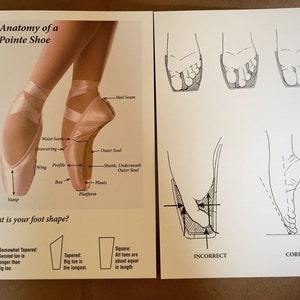 Featured image of post Diagram Pointe Shoe Anatomy This diagram from russian pointe illustrates pointe shoe anatomy including but not limited to