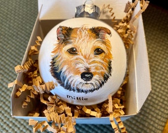 Custom Pet Portrait Hand Painted on Glass Ornament