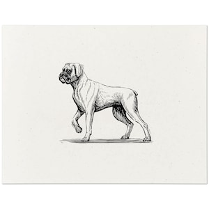 Boxer Dog Art Print - Vintage Woodcut Style Dog Wall Art Screen Print, Home Decor Gift for Dog Lovers