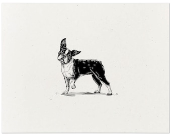 Boston Terrier Print