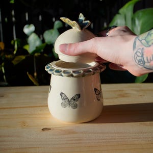 Chrysalis Porcelain Pot