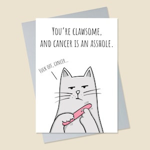 Cartão de câncer engraçado, cartão de câncer de gato, cartão de câncer de cattitude, cartão de câncer é uma merda, cartão de recuperação de gato, cartão de câncer de foda