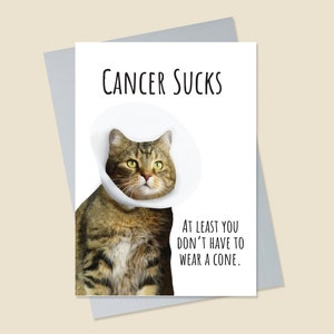 Carte drôle de cancer, carte de cancer de chat, carte de cône de honte, cancer suce, carte de rétablissement de chat