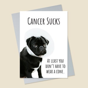 Carte Cancer drôle, carte Cancer chien, carte Cône de honte, carte Cancer suce, carte chien guérit