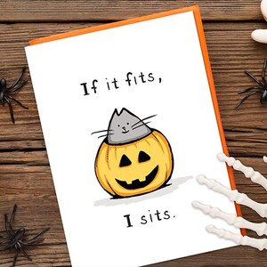 May include: A white greeting card with an orange border featuring a cartoon illustration of a gray cat sitting inside a carved orange jack-o'-lantern pumpkin. The text on the card reads, If it fits, I sits. The card is surrounded by Halloween decor.