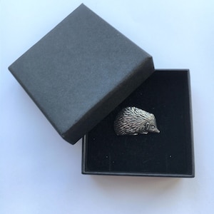 Hedgehog pin badge & gift box