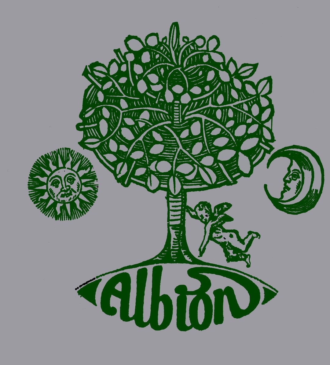 Albion - T Shirt (grey) - Etsy
