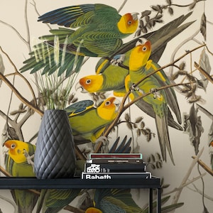 Carolina Parrot Carta da parati rimovibile, Peel and Stick Mural, Stampa floreale per uccelli, Decalcomania riutilizzabile autoadesiva, Decoro riposizionabile Audubon