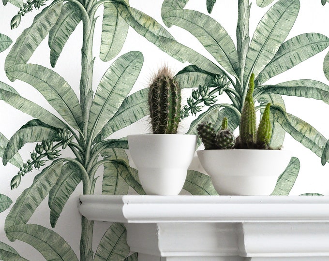 Vintage Banana Tree Wallpaper