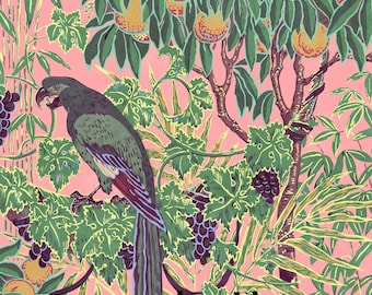 Parrot Oranges Wall Mural