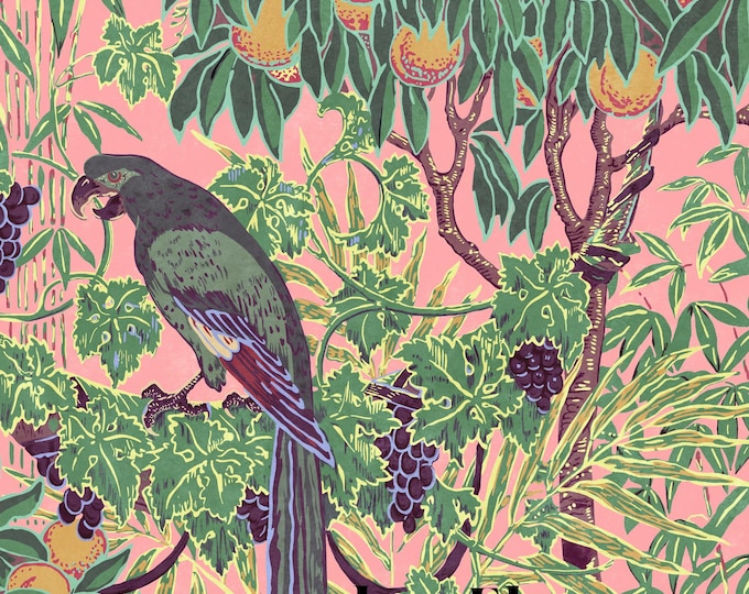 Parrot Oranges Wall Mural