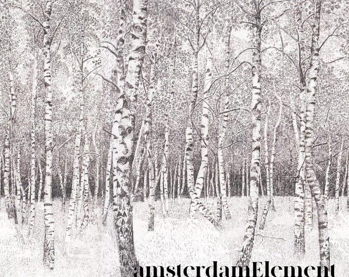 Birch Tree Wallpaper, Peel and Stick Wallpaper Mural for Home Decor, Nursery, and Accent Walls