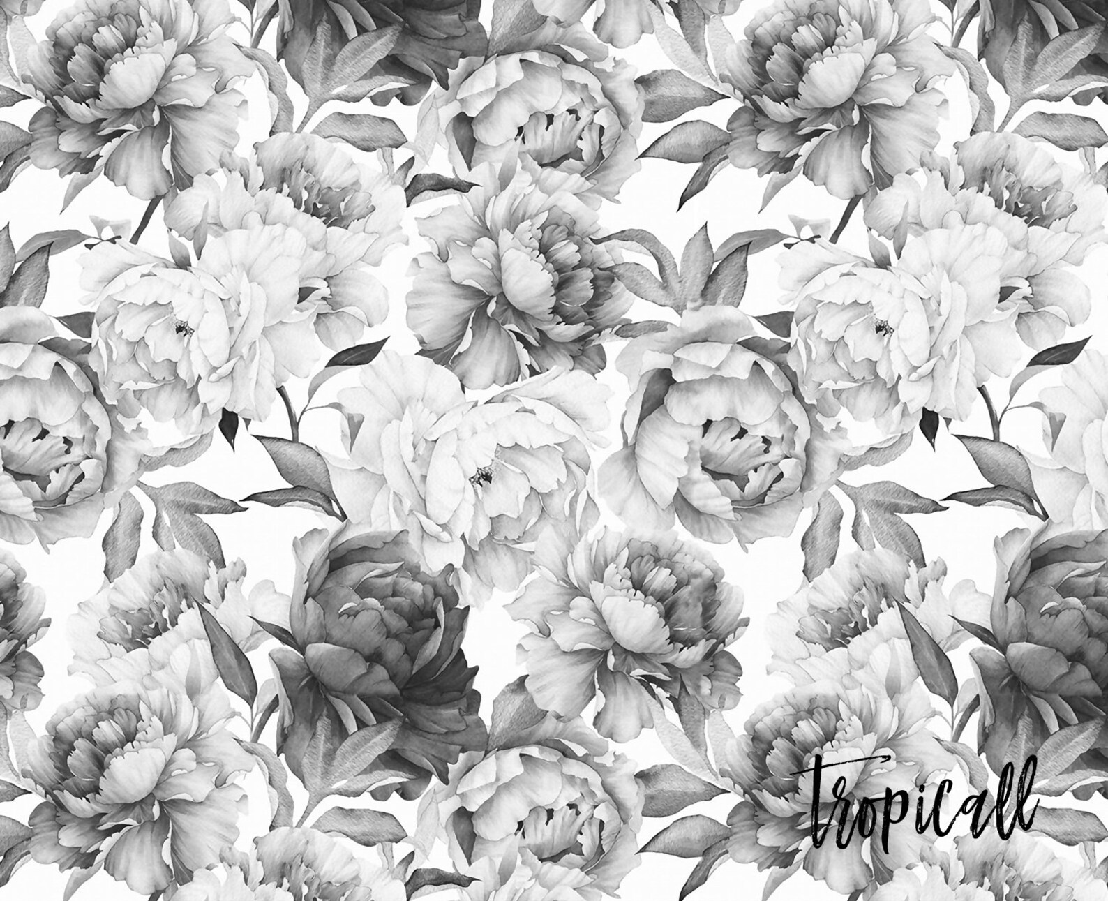 Giant Black and White Peony Removable Wallpaper Mural | Etsy