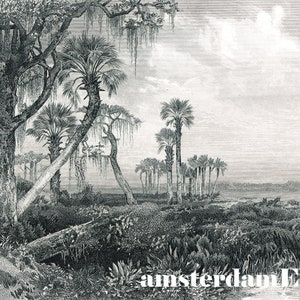 Grand Tree Palms Swamp River Wallpaper, Murale amovible Peel & Stick ou Non-tissé, Conception d’arbres écologiques, Impression de palmiers, Décalcomanie murale