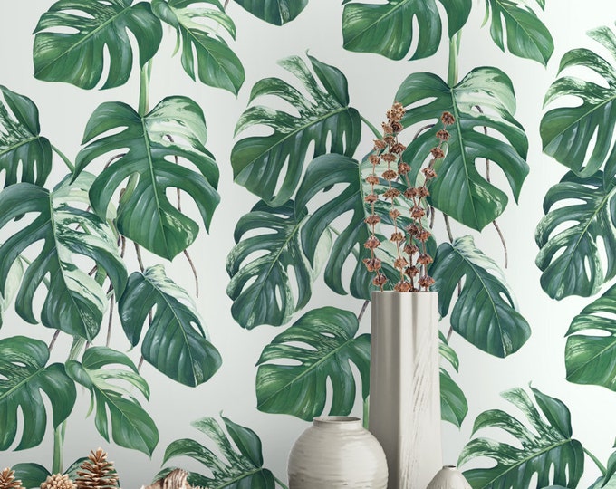 Monstera Leaves Print Wallpaper - Removable Wallpaper - Monstera Palm Leaves Wallpaper - Tropical Print - Temporary Peel and Stick Wall Art