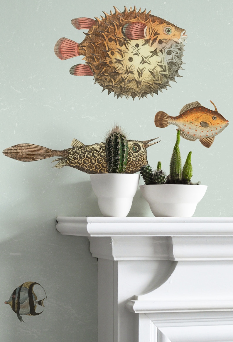 Tropical Fish Wallpaper Mural Sea Acquario Wallpaper Self Etsy UK