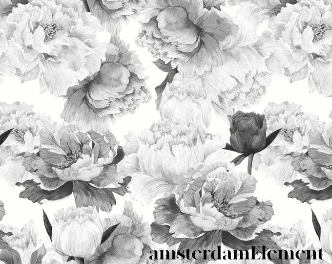 Black and White Peony Mural