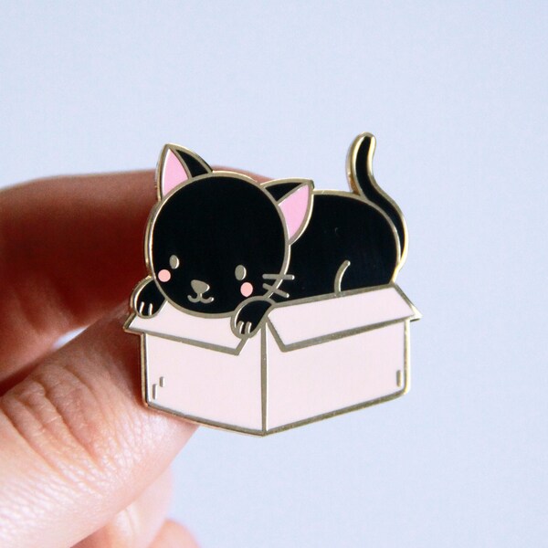 Black Cat in a Box Enamel Pin