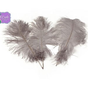 USA Shop! Silver Gray Ostrich Feather Plumes, 11-14&quot; and 9-12&quot; Length. Centerpiece Feathers Centerpieces, Prom and Wedding centerpieces USA