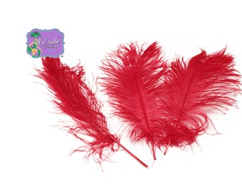 USA Shop! RED Ostrich Feather Plumes, 11-14" and 9-12" Length. Centerpiece Feathers Centerpieces, Prom and Wedding centerpieces USA