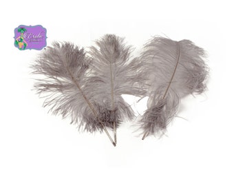 USA Shop! Silver Gray Ostrich Feather Plumes, 11-14" and 9-12" Length. Centerpiece Feathers Centerpieces, Prom and Wedding centerpieces USA