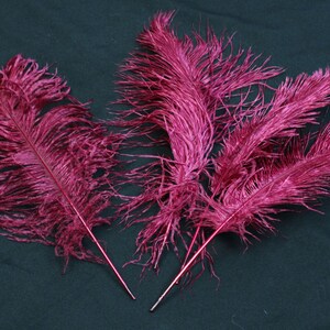 USA Shop BURGUNDY Ostrich Feather Plumes, 11-14 and 9-12 Length ...