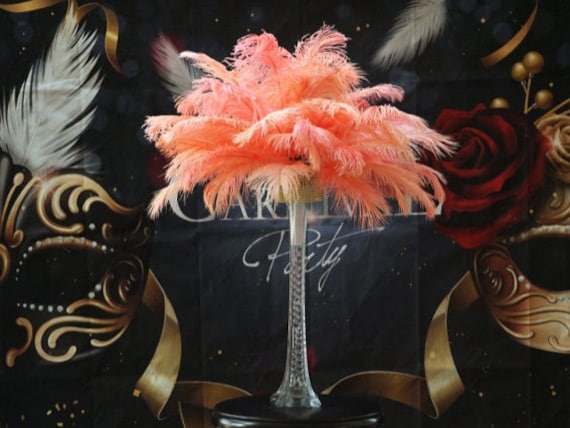 Apricot Ostrich Feathers Feather Centerpieces Wedding Centerpieces Feather  Decorations Feathers for Vases 