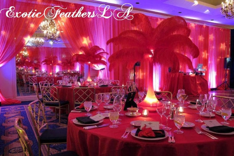 Special Sale U.S.A. 1-100 Pcs. RED Ostrich Feathers 11-14 long. Feather Centerpiece, Wedding, Quinceañera, Roaring 20's,Table centerpiece, image 1