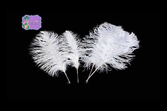 White Ostrich Feathers Plumes, DRABS 13 to 16 Inch, 1 to 100 Pcs. USA  Store.centerpieces,samba,carnival,mardi Gras,weddings,burlesque 