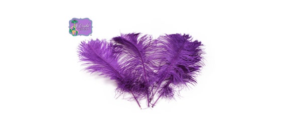 Ostrich Feather Tail Plumes 9-12 (Purple) for Sale Online