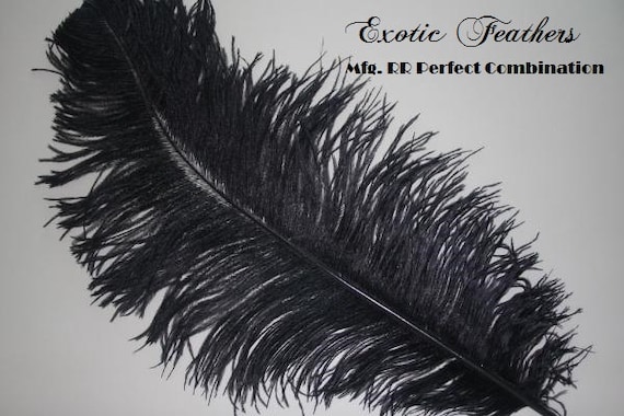 black Feathers 100pieces 18-20inch Ostrich Feather Plume for Wedding  centerpieces Frist Class selected