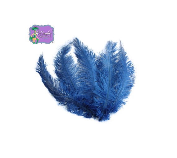 Genuine Colorful Natural Peacock Feathers USA SELLER ExoticFeathers Colorful Peacock Feathers, Peacock Earrings