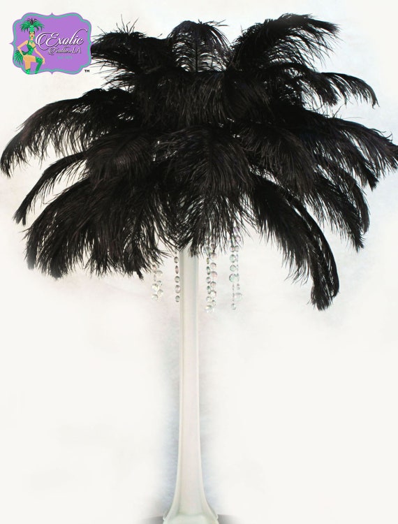 Ostrich Tail Centerpiece Feathers White Ostrich Feathers 13 to 18 inches long USA Shop