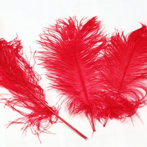 USA Shop RED Ostrich Feathers 13 to 18 Inches Long. Ostrich Tail ...