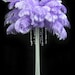 see more listings in the 15-18" OSTRICH FEATHERS section