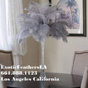 USA Shop SILVER/GREY Ostrich Feathers 13 to 18 inches long. Ostrich Tail Centerpiece Feathers image 2