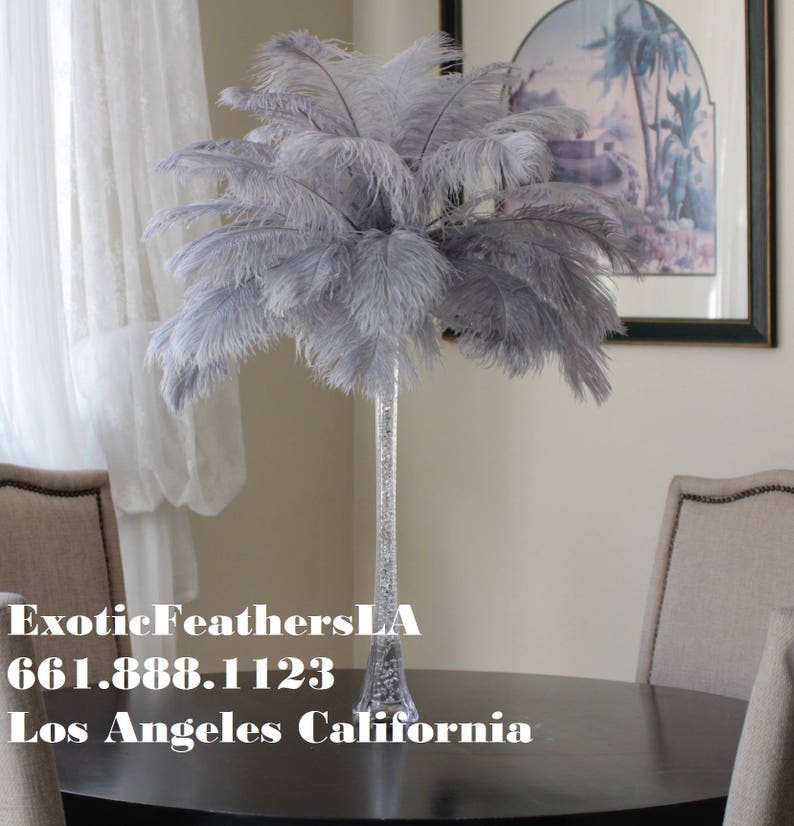 USA Shop SILVER/GREY Ostrich Feathers 13 to 18 inches long. Ostrich Tail Centerpiece Feathers image 2