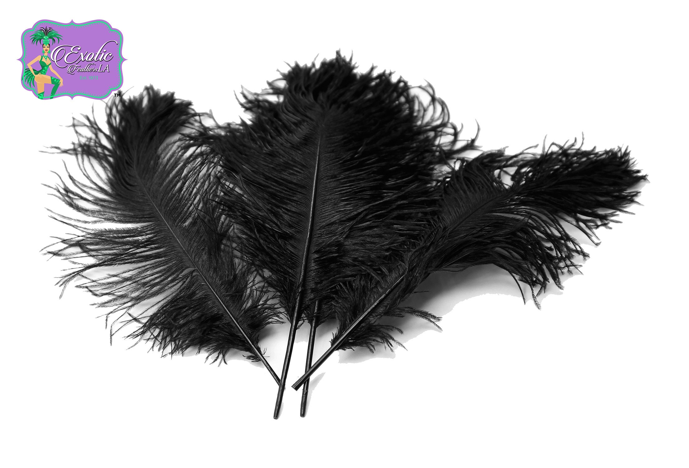 Bulk Special BLACK Ostrich Feathers Centerpiece Tail Feathers.  Approximately 1/2 Lb. of Ostrich Tail Feathers 12-16 Long. 