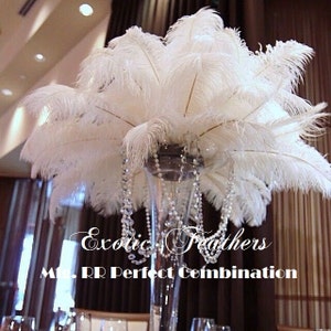 50 pcs White Drab Ostrich Feathers 13-16",wedding table centerpiece,decoration,ostrich centerpiece, feather centerpiece. Exotic Feathers