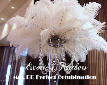 50 pcs White Drab Ostrich Feathers 13 16