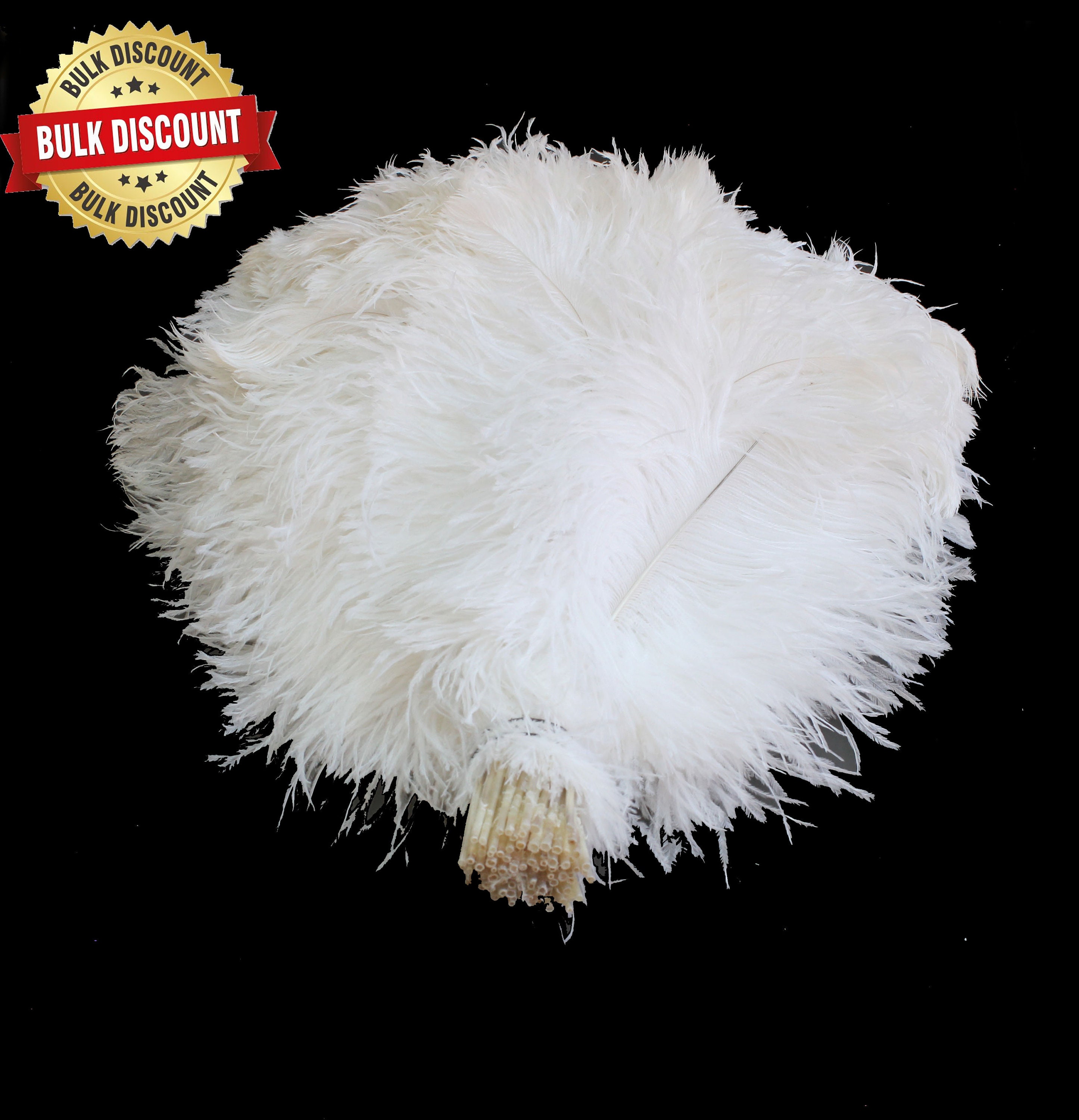 125 Pieces - White Ostrich Tail Bulk Wholesale Feathers Wedding Centerpiece  Bulk