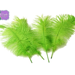 USA Store! LIME GREEN Ostrich Feathers 11-14&quot; and 9-12&quot; Long. 1 to 100 Pcs. Centerpiece Feathers, Prom and Wedding Decorations Centerpieces.