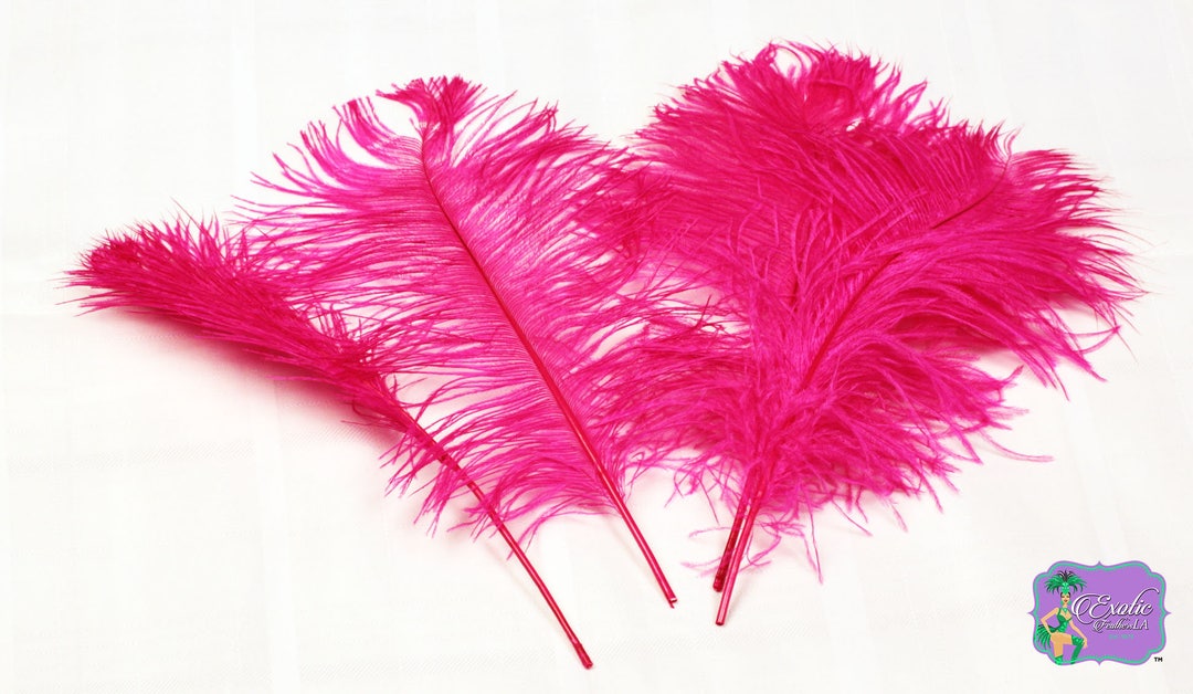 10 Pcs. FUSCHIA Ostrich Tail Feathers U.S.A. Supplier. You - Etsy