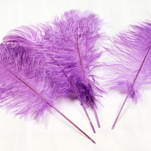 USA Seller Purple Ostrich Feathers 10-14 Inches. Ostrich Tail Plumes,  Ostrich Feather Centerpiece, Mardi Gras, Samba Costumes, Carnival 