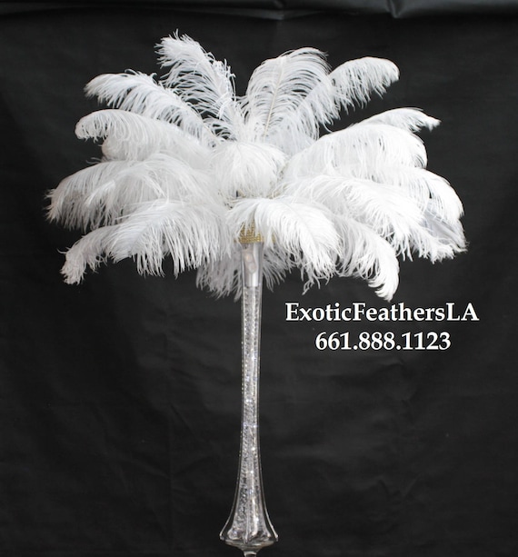 100 White Ostrich Feathers for Wedding Centerpieces 